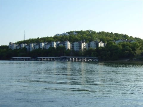 View of Condos from Private Cove