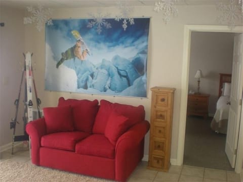 Lower level kid's room with HD television and Wii gaming system