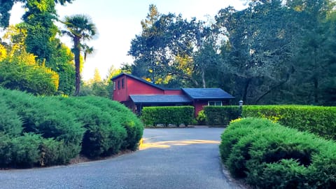 A view of our woodsy cottage from the driveway entrance, bordered by Junipers.