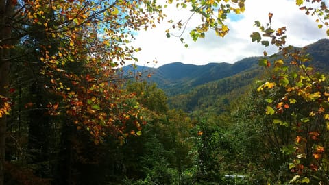 Balsam Mt. View from Covered Porch