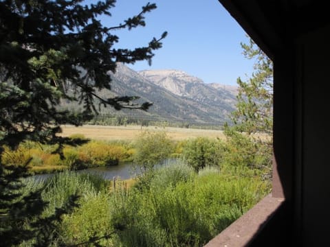Views from the porch to Fish Creek, open ranch land and the mountain range