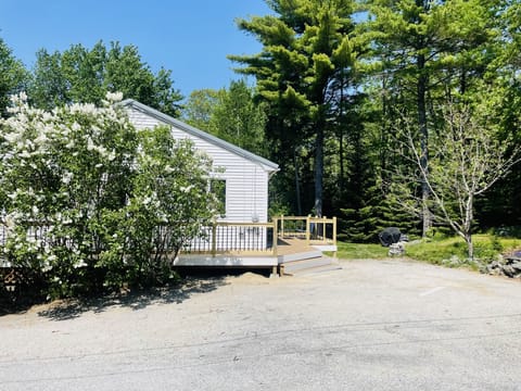 Front view of the house in May, lilac tree in bloom.  Parking to the right.