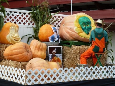 Pumpkin Festival is mid October every year.