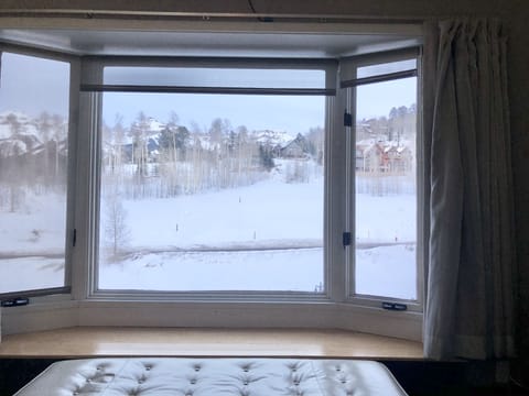 View from upstairs master