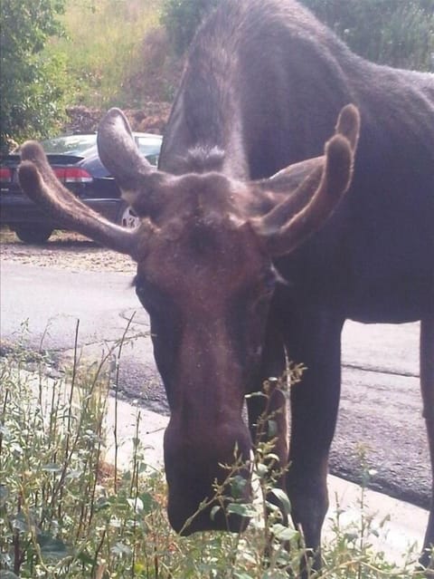 Our neighbor in the photo highly recommends you spend your vacation here.