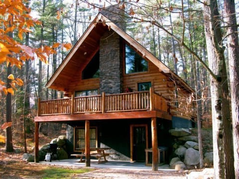 'Wildwood in the Pines'