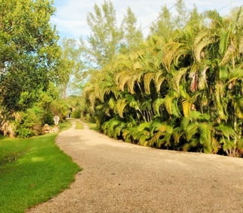 Enter the secluded drive to Shell Seekers Cottage...