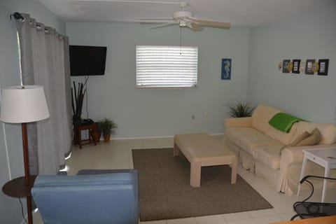 Living room with pull out couch