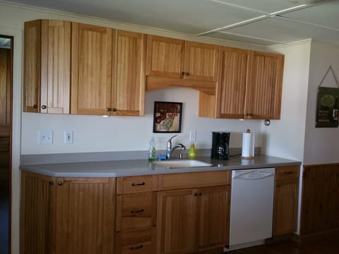 Kitchen cabinets, sink, dishwasher