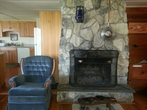 Gorgeous working fireplace