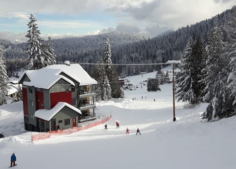 The Crest at Red Mountain - Ski in Ski out