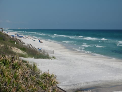One of the world's best beaches is across the street from Petite Retreat!