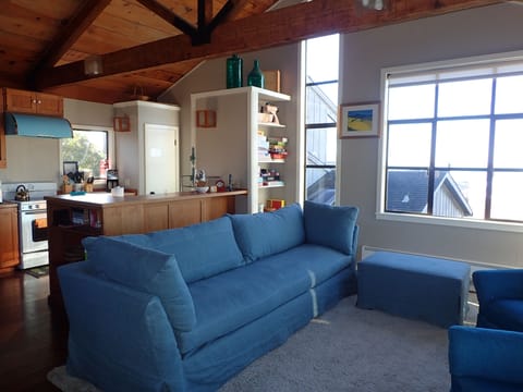 Thick, Plush Area Rug perfect for Sprawling Out in Family Room w. Beach Views.