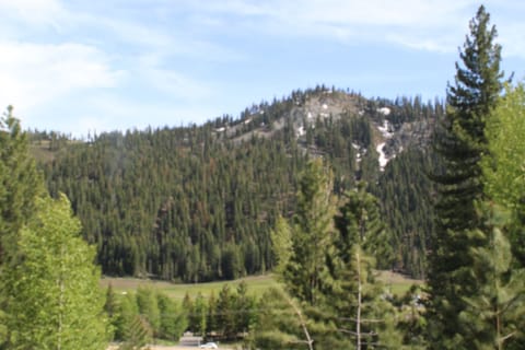 View from the Library