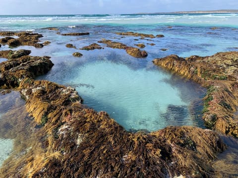 Rockpool