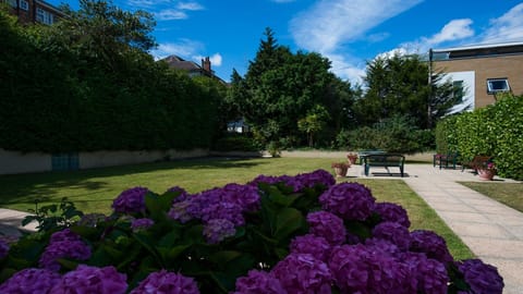 Flat 4 overlooks our back garden