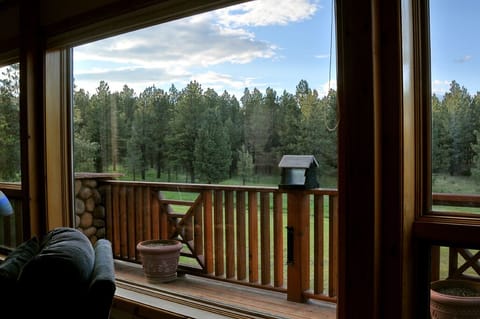 Upper deck off main living area with view into greenbelt
