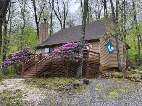 Beautiful cabin for every season of the year