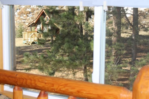 The backyard bunkhouse as seen from upper Queen Master.