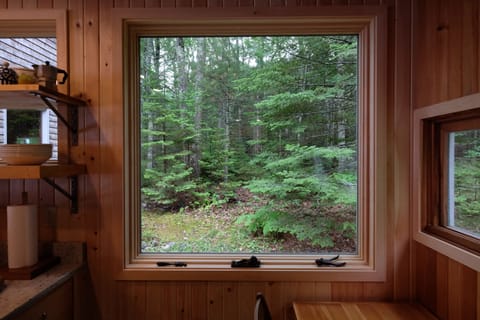 The forest view from the kitchen eating area.