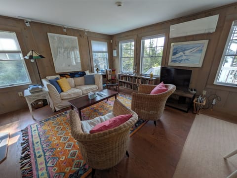 Cottage living room with wood stove (to the left), heat pump, and smart TV