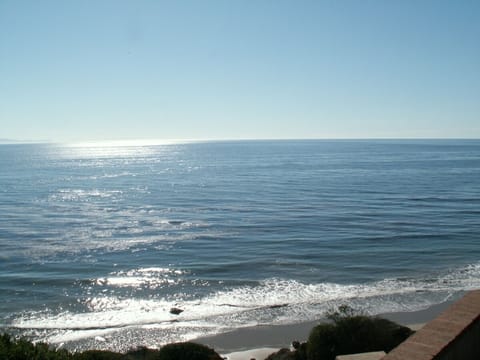 View from the backyard