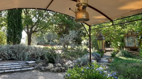 perfect moments under the shed