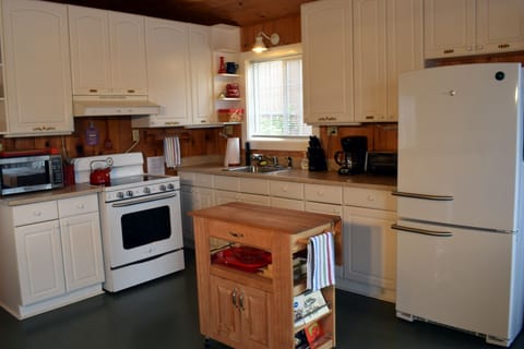 Kitchen  - new refrigerator and stove May 2016