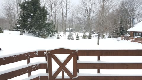 View From Back Porch