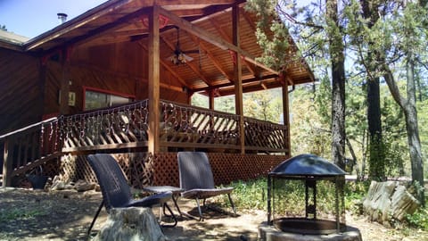 Front View of Cabin in The Woods - Fire Pit and sitting Area