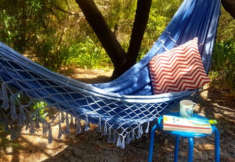 Hammock in the garden