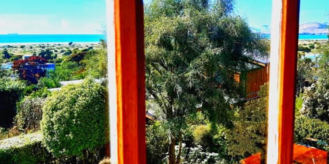 Warrington Pet Friendly Beach Villa
