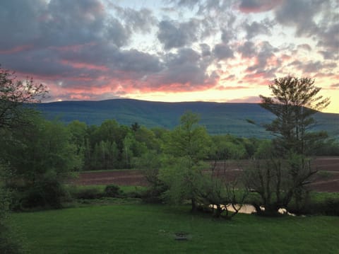 View from house