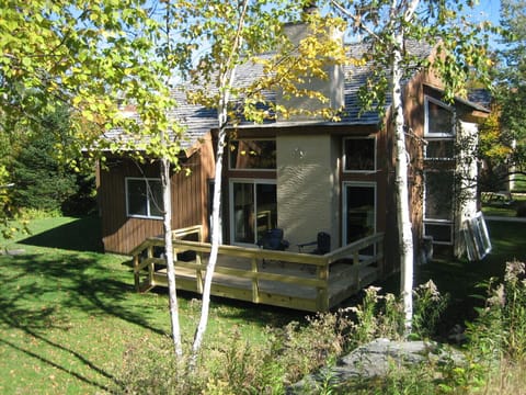 Summer setting, property surrounded by Maple, Birch, and Hemlock