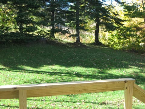 Watch the Tram go by between Hemlocks.