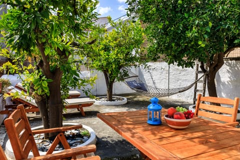 Backyard with lemon, orange and mandarine trees.