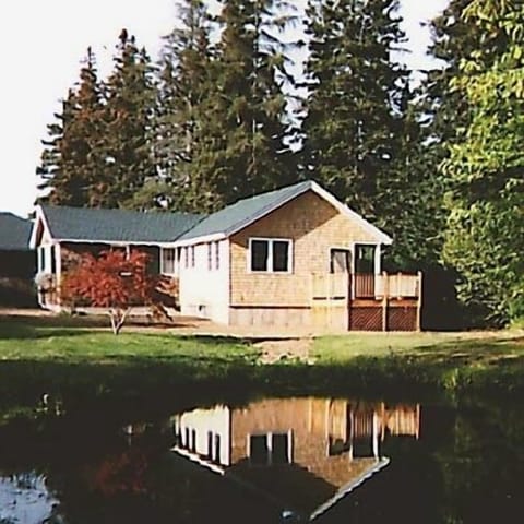 Spruce Cottage pond view