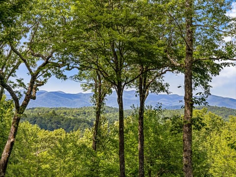 Viewing Beautiful Blue Ridge Mountains from the large covered porch.