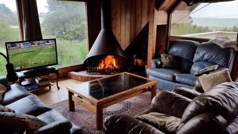 Cozy fire in winter