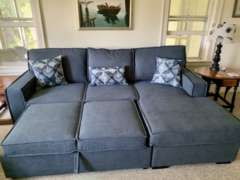 Living room with pocket doors, pullout bed and TV. 