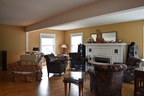 Living Room 2018 new chairs with daybed and trundle makes into a king bed