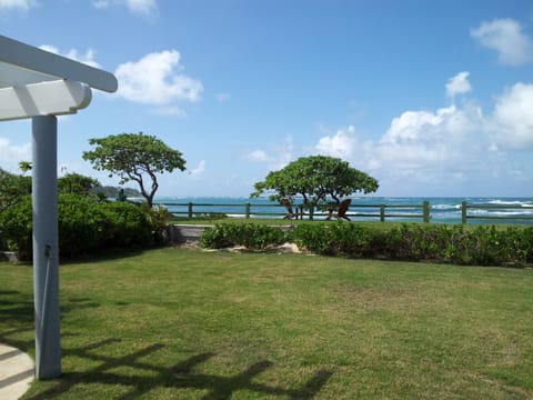 Ocean view from our lawn