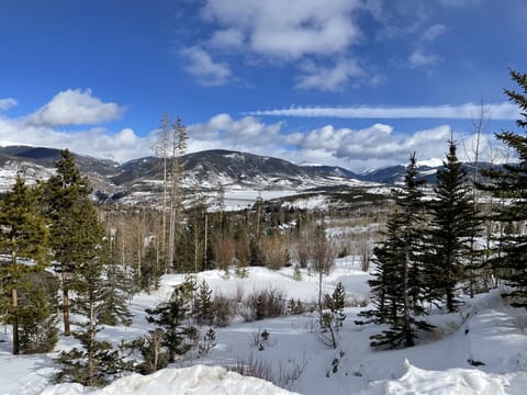 View from deck