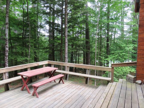 The deck with a view into the woods and, past the trees, the Lake