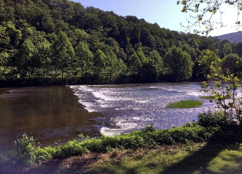 The Shenandoah River
