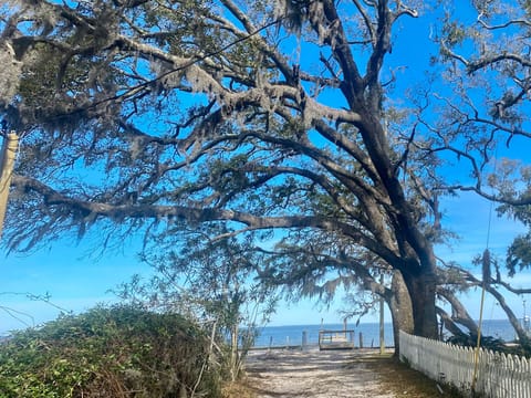 The beautiful yard is surpassed only by the view of the bay.