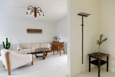Entrance and living room. 