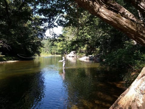 Great fishing from your part of the river.