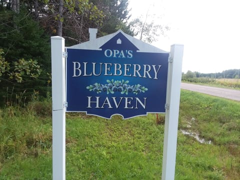 Welcome to Opa's Blueberry Haven..!!