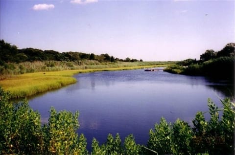 The Creek